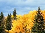 Fall Along the Red Deer River